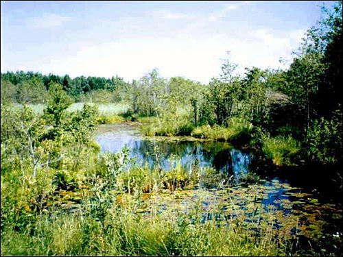 Klemensów. Folwark Kijakowskich