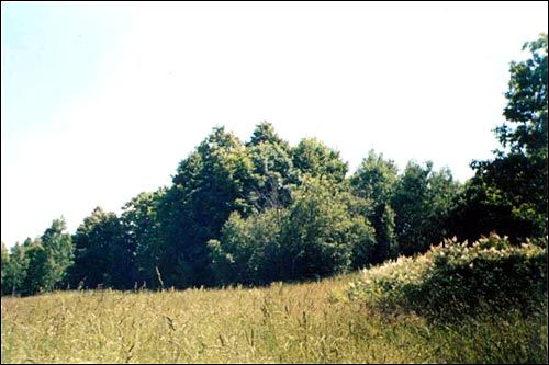 Klemensów. Folwark Kijakowskich