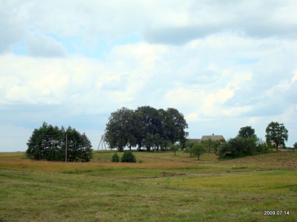 Alionys. Landscapes 