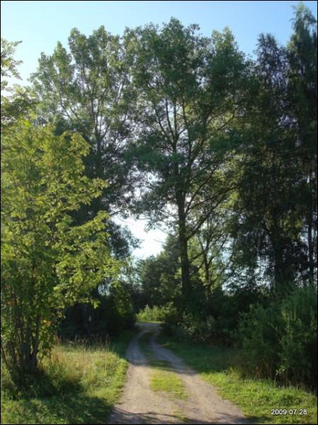 Камень. Краявіды 