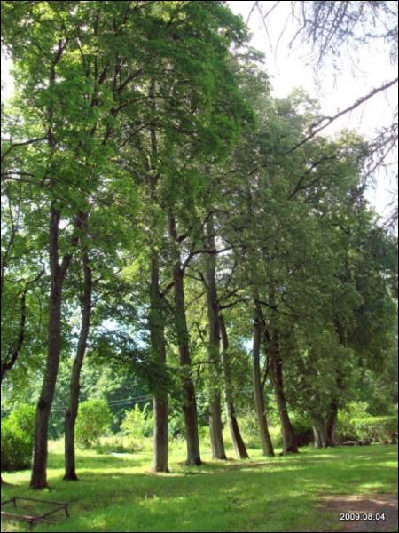  - Estate of Malewski. 
