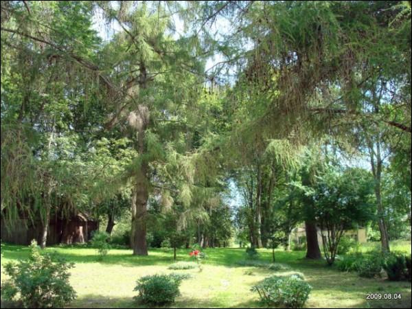  - Estate of Malewski. 