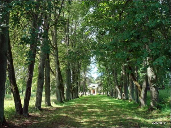  - Estate of Malewski. 