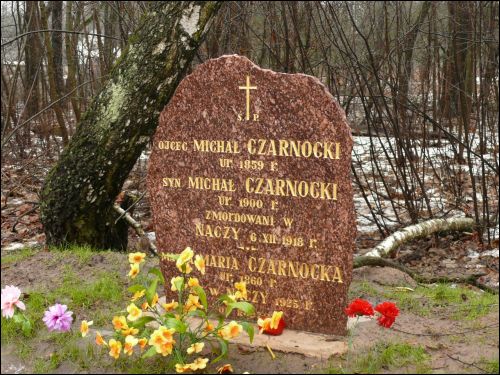 Nacz (Nacz Bryndzowska). Zespół dworsko-parkowy Czarnockich