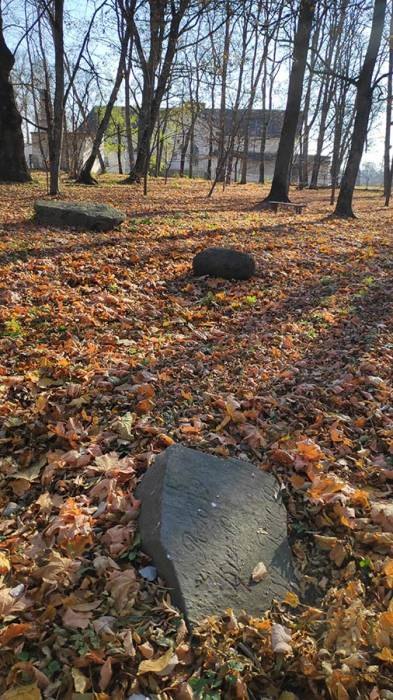 Nacz (Nacz Bryndzowska). Zespół dworsko-parkowy Czarnockich