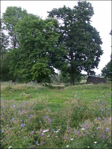 Nača Hlaboŭskaja (Sviancickaja). Landscapes 