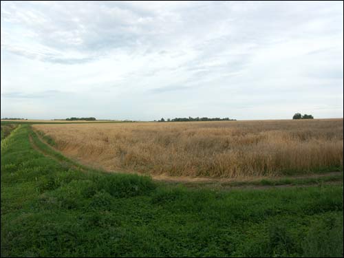Nača Hlaboŭskaja (Sviancickaja). Landscapes 