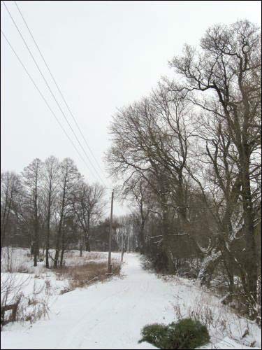 Paŭlukoŭščyna. Manor park (fragments)