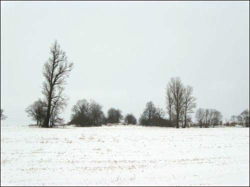 Paŭlukoŭščyna. Manor park (fragments)