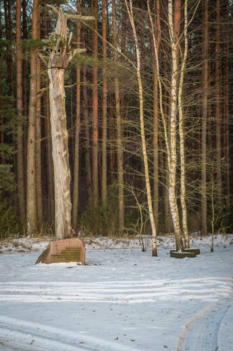 Забродье. Кладбище военное времен 1-й мировой войны 