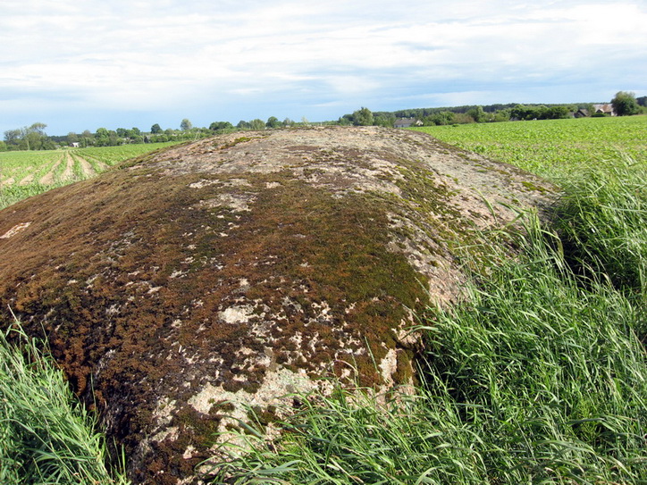  - Glacial erratic . 