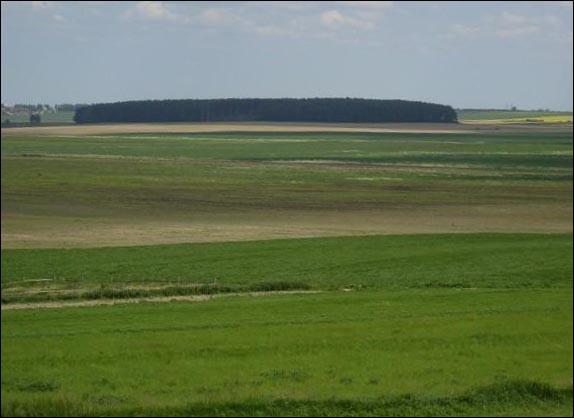 Barok (Basłavičy). Landscapes 