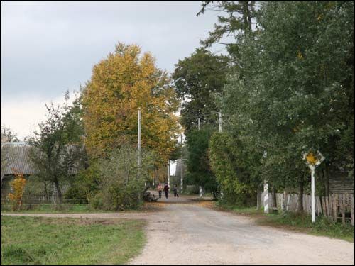 Вясковая дарога Своятичи. Пейзажи