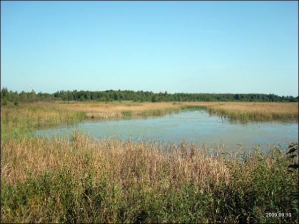 Inturkė (Anturkė). Landscapes 