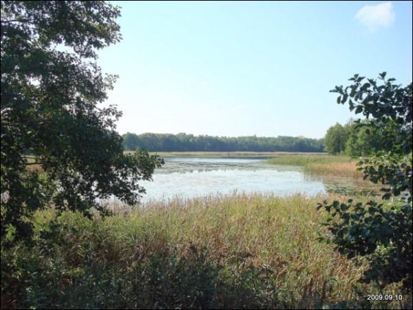Inturkė (Anturkė). Landscapes 