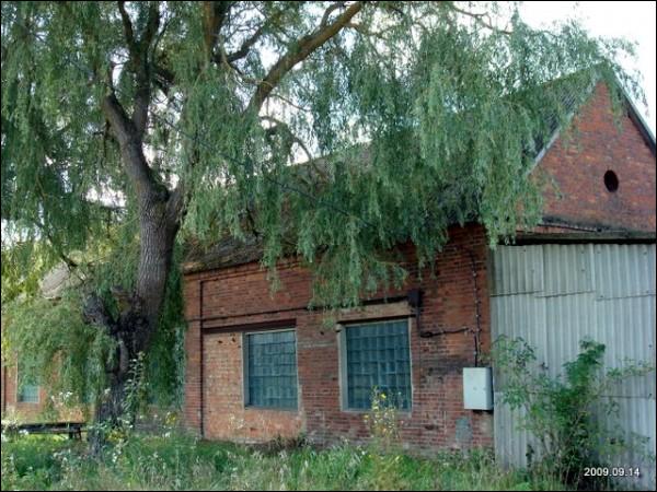  - Zespół dworsko-parkowy . 