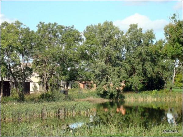  - Zespół dworsko-parkowy . 