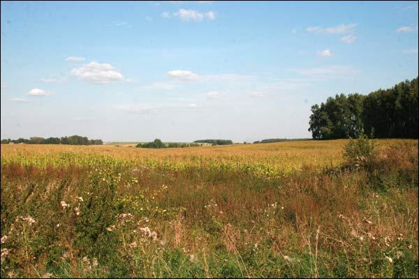 Lebieźany. Krajobrazy 