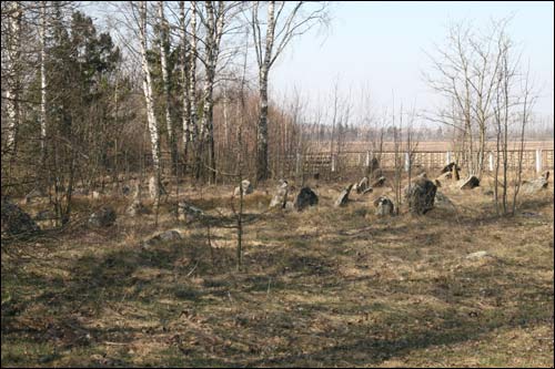 Turki. Cmentarz tatarski (Mizer)