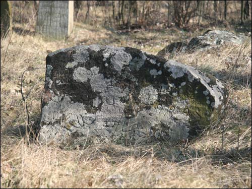 Turki. Cmentarz tatarski (Mizer)