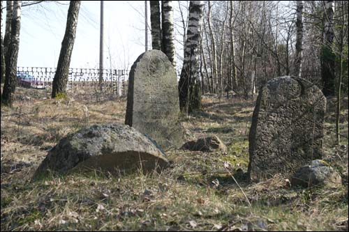 Turki. Cmentarz tatarski (Mizer)