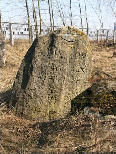 Turki. Cmentarz tatarski (Mizer)