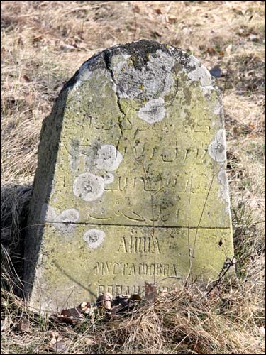 Turki. Cmentarz tatarski (Mizer)