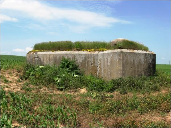 Урожайная (Вошковцы). Оборонные укрепления 