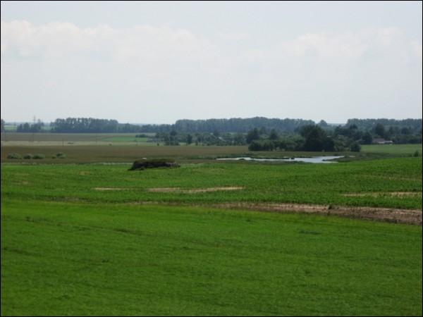 Урожайная (Вошковцы). Оборонные укрепления 