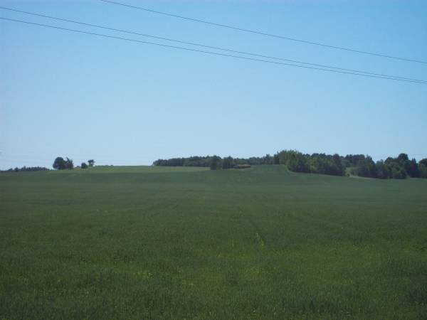 Урожайная (Вошковцы). Оборонные укрепления 