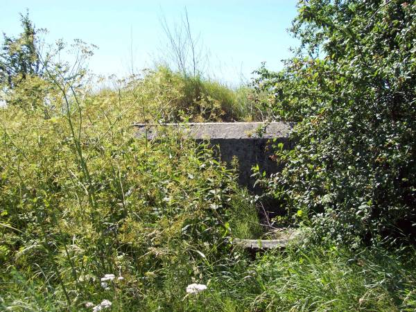 Урожайная (Вошковцы). Оборонные укрепления 