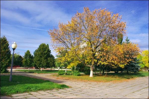  - Улицы города . Парк