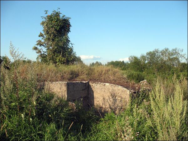Vidzy. Defensive Fortifications 