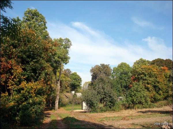 - Zespół dworsko-parkowy . 
