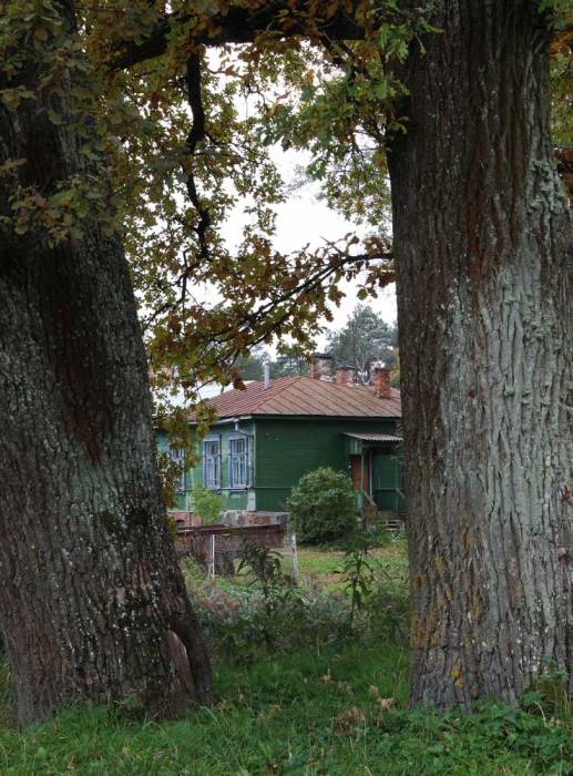 Bykaŭščyna. Farmstead 