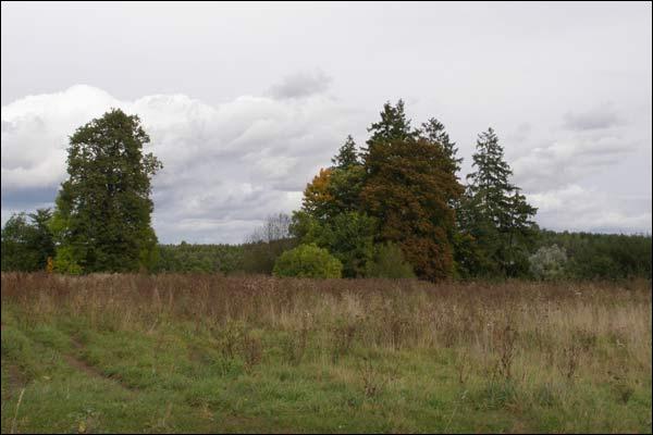 - Manor park . 