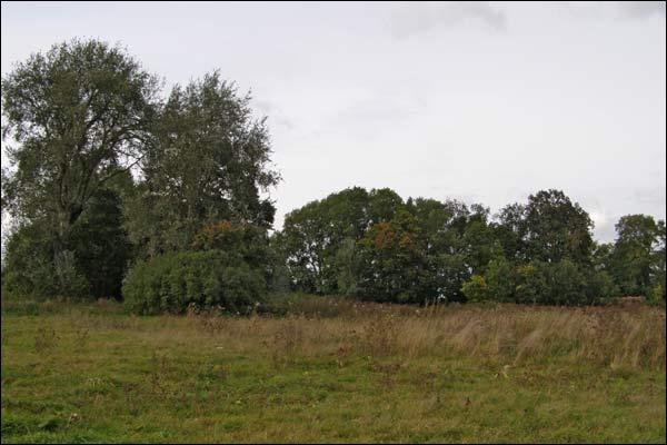  - Manor park . 