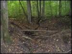 dwór Stary Prud - Park dworski dwór Stary Prud - Park dworski