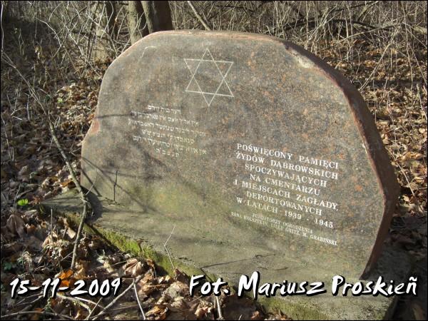 Домброва-Белостоцка. Кладбище еврейское