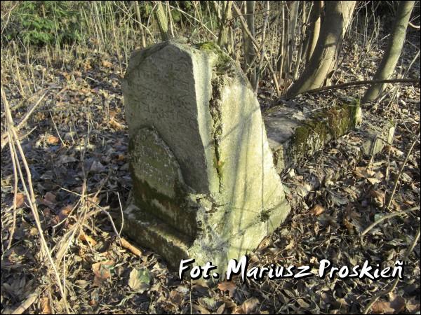 Домброва-Белостоцка. Кладбище еврейское