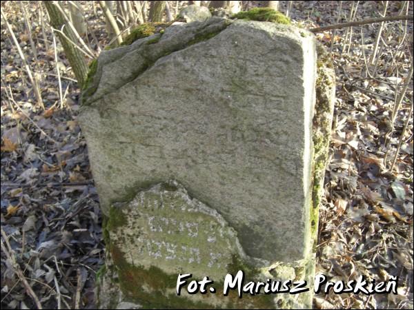 Домброва-Белостоцка. Кладбище еврейское