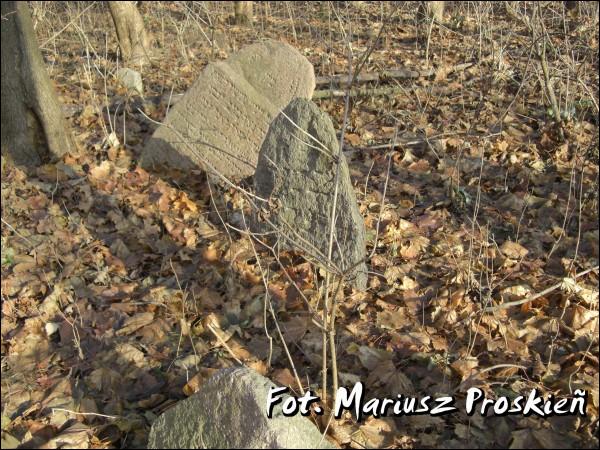 Домброва-Белостоцка. Кладбище еврейское