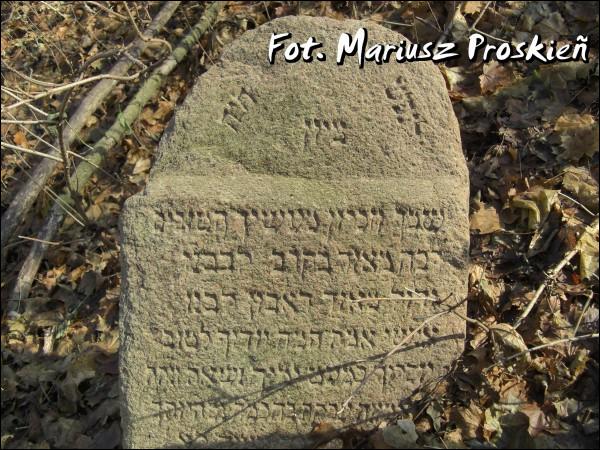 Домброва-Белостоцка. Кладбище еврейское