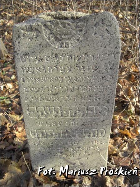 Dąbrowa Białostocka. Cmentarz żydowski
