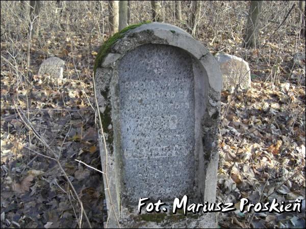 Домброва-Белостоцка. Кладбище еврейское