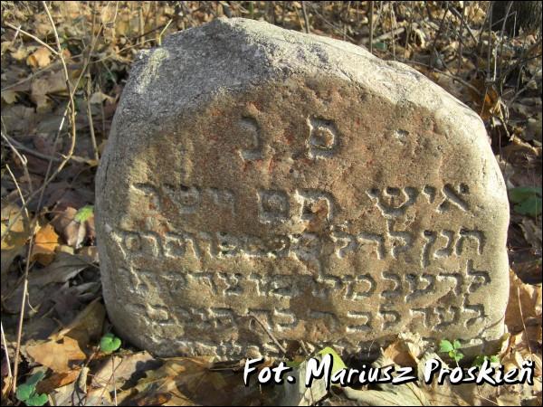 Домброва-Белостоцка. Кладбище еврейское