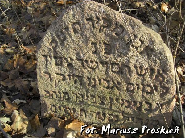 Домброва-Белостоцка. Кладбище еврейское