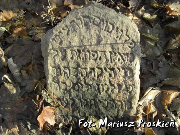 Домброва-Белостоцка. Кладбище еврейское