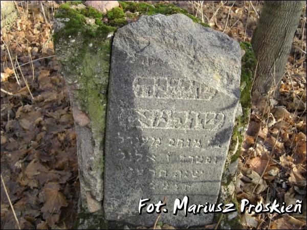 Домброва-Белостоцка. Кладбище еврейское