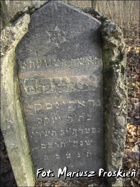 Домброва-Белостоцка. Кладбище еврейское